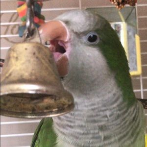 Meet your Posher, Devin